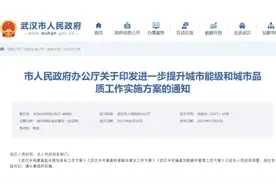 重磅！武汉交通一大波好消息涉及5、6、7、9、12、16、19、21号线图片