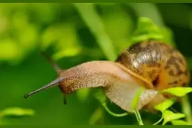 有趣又冷门的小科普图片