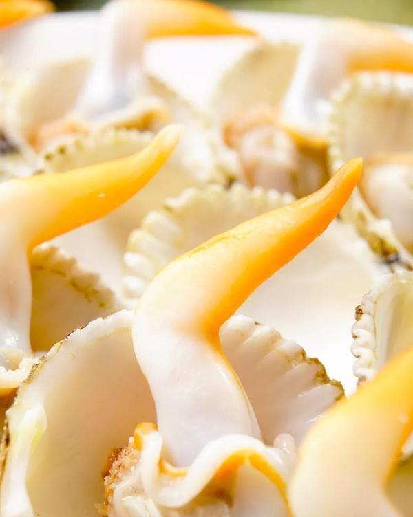 食材分享｜没有鸡腿的鸡腿螺，凡是吃过的都说鲜味馥郁，Q弹爽口