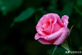 这句话，是男人爱你的最高境界图片