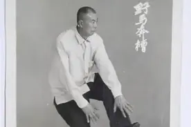 形意拳—心意拳对比图片