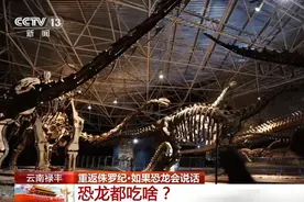 重返侏罗纪 | 探访那些生活在2亿年前的史前动物图片