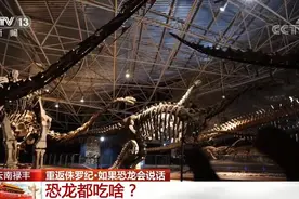 重返侏罗纪 | 探访那些生活在2亿年前的史前动物图片