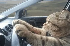 惊险 | 宜春近期五起车祸 夏季行车需注意...图片