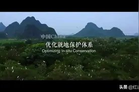 重磅微视频：万物生图片