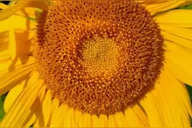 这花花世界图片