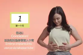 怀胎十月：每月“胎儿发育及孕妇注意”，贴心又实用，孕妈收藏图片