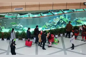 河南一医院建“巨型鱼缸”长14米耗资数万元，病人免费观看拍照图片