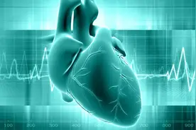 科学家重定义“心脏的跳动”，或预示着心脏病新疗法的发展图片
