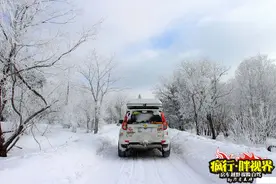 老司机分享柴油轿车与SUV的冬季低温使用经验！柴油车主纯干货图片