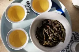 今日霜降 | 早茶雪片单丛•黄枝香，迷人的花香图片