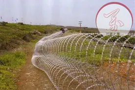 纸糊的海岸防线，对岸还停留在40年前的反登陆防御设施图片