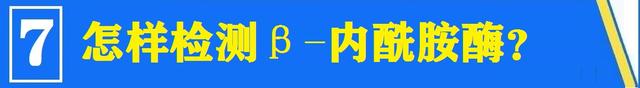 舌尖上的安全（8）——解读牛奶中的β-内酰胺酶
