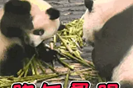 重要提醒，猴子石大桥行车有变！另外，新型“红绿灯”来了，小心误闯扣分图片