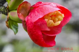 春天来了，我们共享春天的气息图片