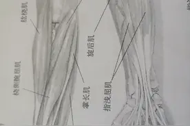 秒杀网球肘的速治针法图片