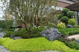 从明天起，做一个幸福的人图片