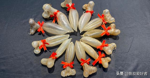 很薄的那种是什么鱼胶 2026年薄薄的是什么鱼胶