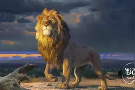 马云：干着干着，就知道怎么做CEO了图片