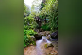 青城山后山即景：石桥、小溪、瀑布。僻静、清幽图片