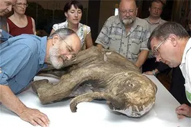 永久冻土层溶解，5种史前生物遗骸被发现，人类或面临超级病毒？图片