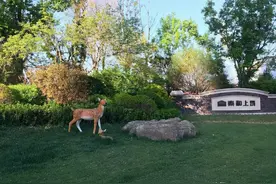 潍坊市5-10年房龄，二手房挂牌价7381元，共计659个小区图片