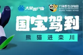 它来了它来了！可爱的灵岩和迈迈终于入住新家栾川啦图片