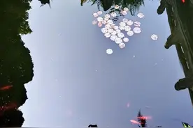 #旅居在汉中#汉中古汉台桂荫堂南面有个镜吾池，镜吾池有首诗图片