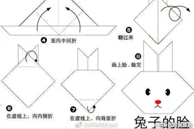 8种小动物的折纸方法，爸爸妈妈可以和孩子一起动手哦图片