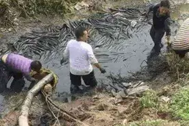 实拍：农村男子抽干整个水塘浇地，浇完地后走进水塘乐开花图片