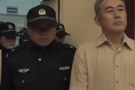 《扫黑风暴》大结局：高明远落网，贺芸、董耀自首，李成阳归队图片