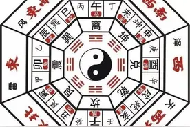 杨紫算命全靠编图片