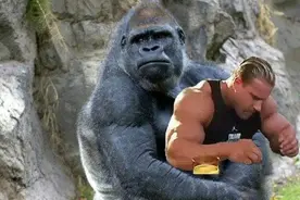 小明和大猩猩关在一个房间，里面有菜刀和喷雾剂，怎么活下来？图片