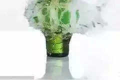 “嘣”！正往冰箱内摆啤酒，突然啤酒瓶就爆炸碎片四溅图片