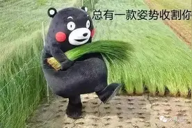 年终奖被卡、简历被卖、竞业被坑——跳槽季成了收割韭菜的流水线图片