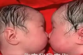 龙凤胎出生20分钟，妹妹就夺走哥哥“初吻”，网友：画面太暖心图片