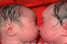 龙凤胎出生20分钟，妹妹就夺走哥哥“初吻”，网友：画面太暖心图片