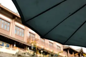 夜读 | 那些能摆脱原生家庭宿命的人 一定是浴火的凤凰图片