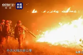 致敬！罗庄籍扑火烈士赵永一当选感动中国2019年度人物图片