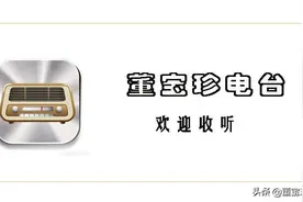 董宝珍电台（681）：专访董宝珍——未被重视的庞氏骗局图片