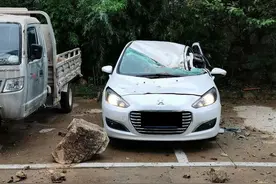 连云港墟沟一小区附近山体滑坡，多辆车遭殃被砸图片