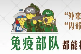 当病毒入侵人体时，免疫系统究竟是如何反击的？图片