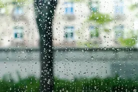 花牛红老师推荐（台湾）庄因《雨天》图片