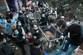 “狗肉大王”樊宪涛：一年屠宰20万只狗，狗肉生意遍布全国图片