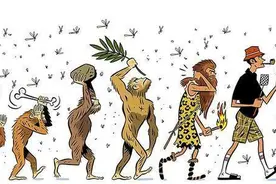 如何用激光灭蚊，关于蚊子的9个冷知识都在这里了图片