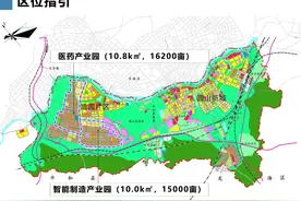 漳州高新区“一药一智”项目简介及规划图图片