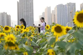118万人！揽金5亿+！国庆假期北碚旅游火热！图片