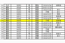 最高价33万元！警校54只淘汰犬半天被抢光…网友贴心地提了一个要求图片