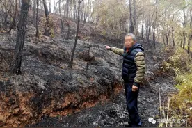 野外用火需谨慎 失火烧山被刑拘图片