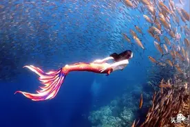 杀疯了的水下洛神曾是林允替身，这一行的精彩故事还有很多图片